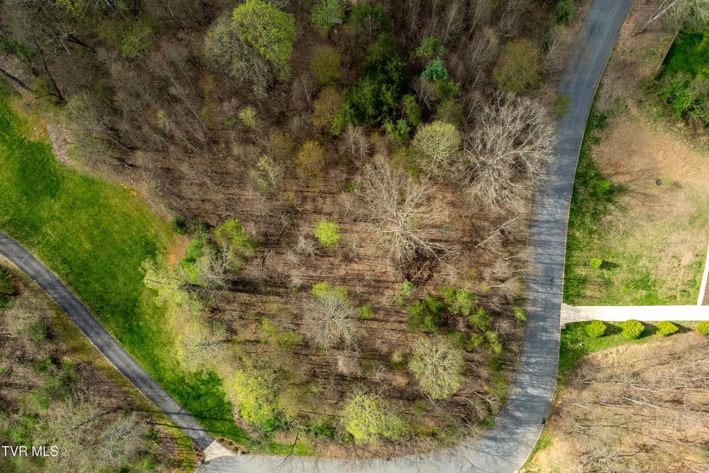 Photo of Tbd Randall Laura Lane, Bluff City, TN 37618 (MLS # 9993307)