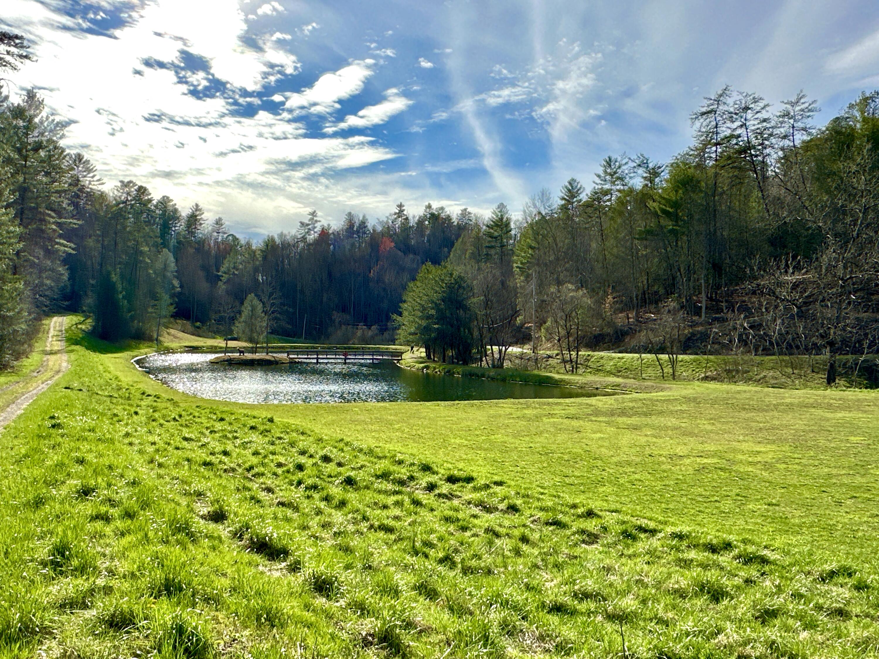 Lot 28 Clydesdale Way, Del Rio, Tennessee image 6