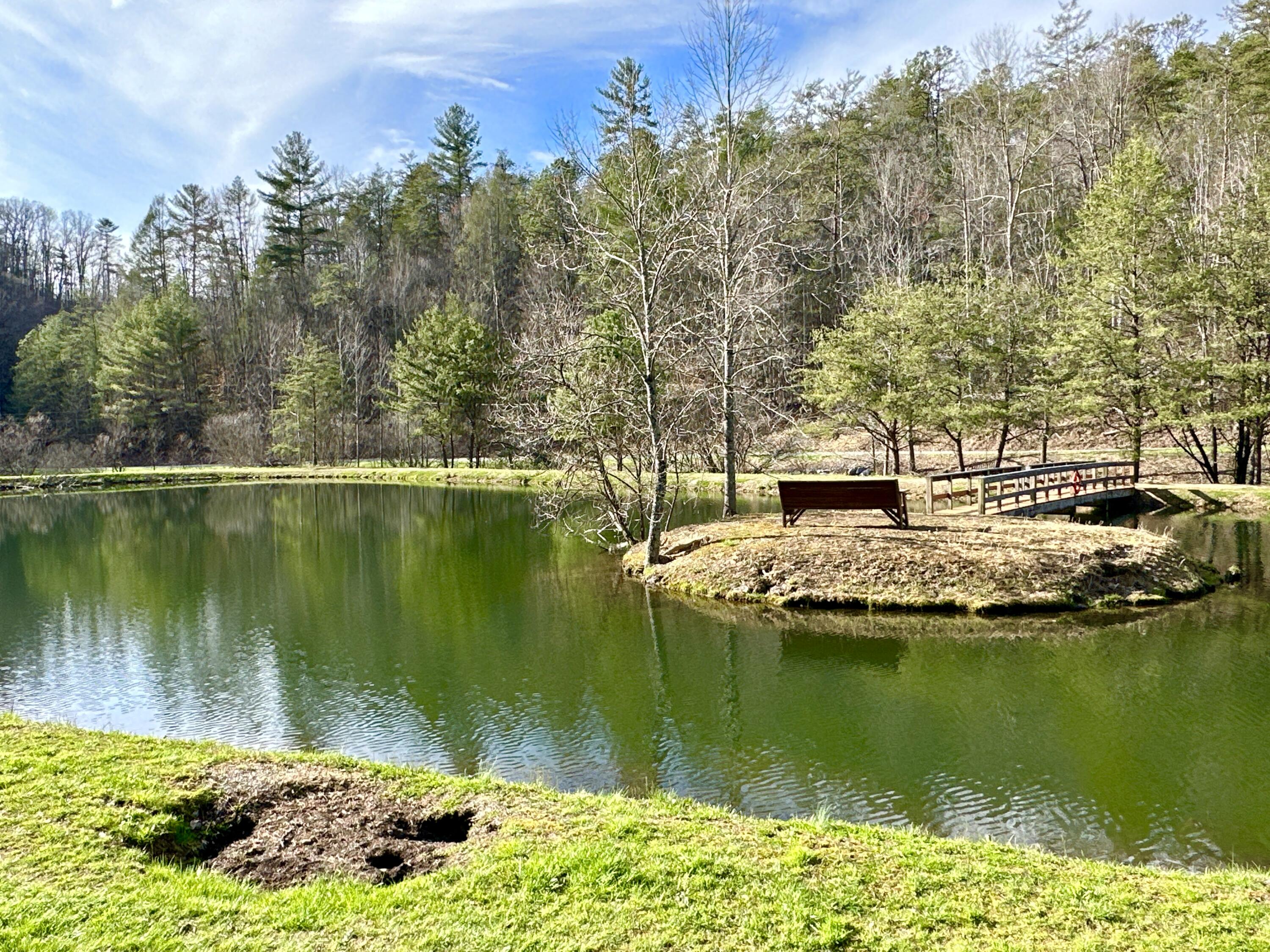 Lot 28 Clydesdale Way, Del Rio, Tennessee image 8