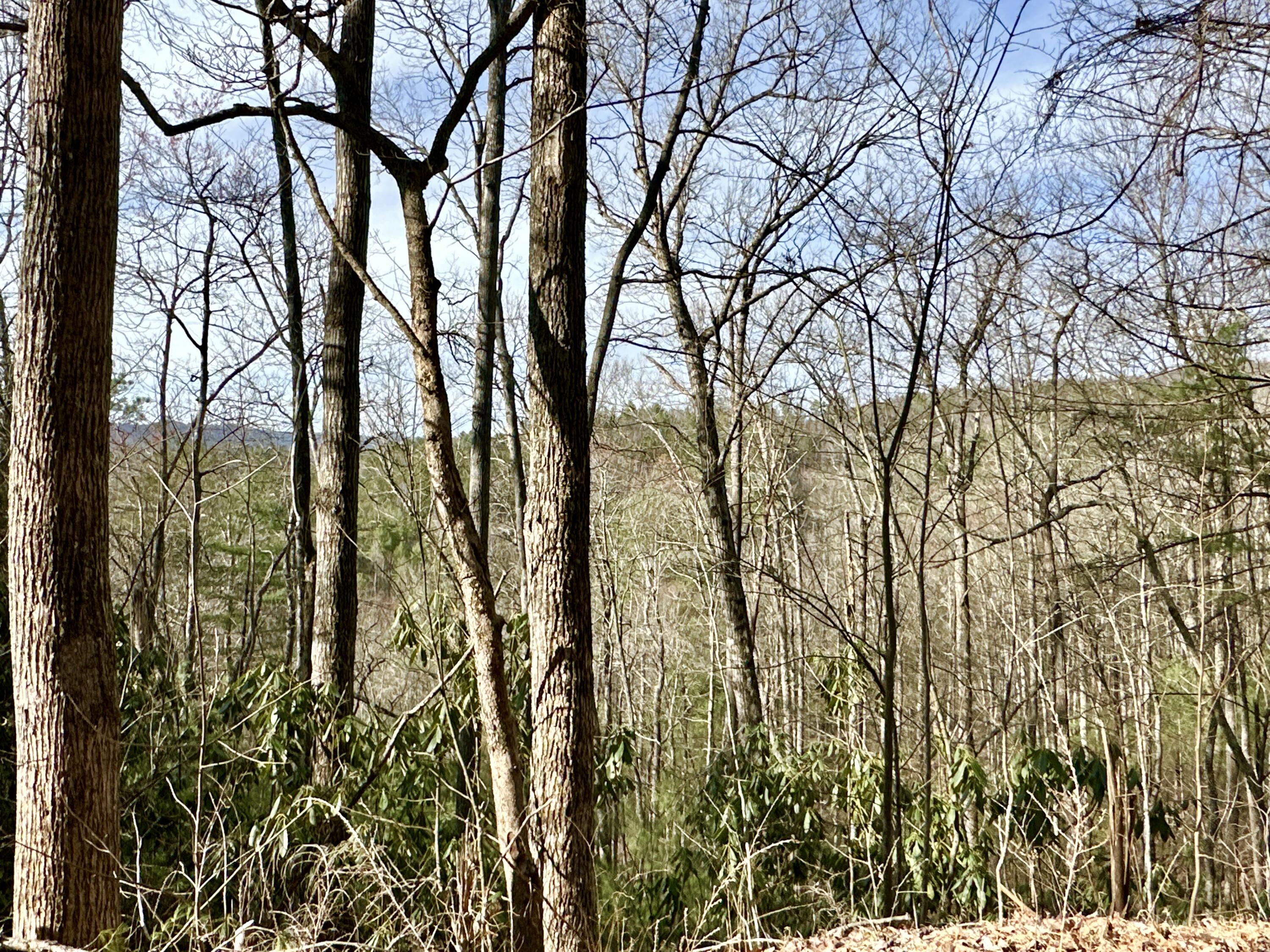 Lot 28 Clydesdale Way, Del Rio, Tennessee image 3
