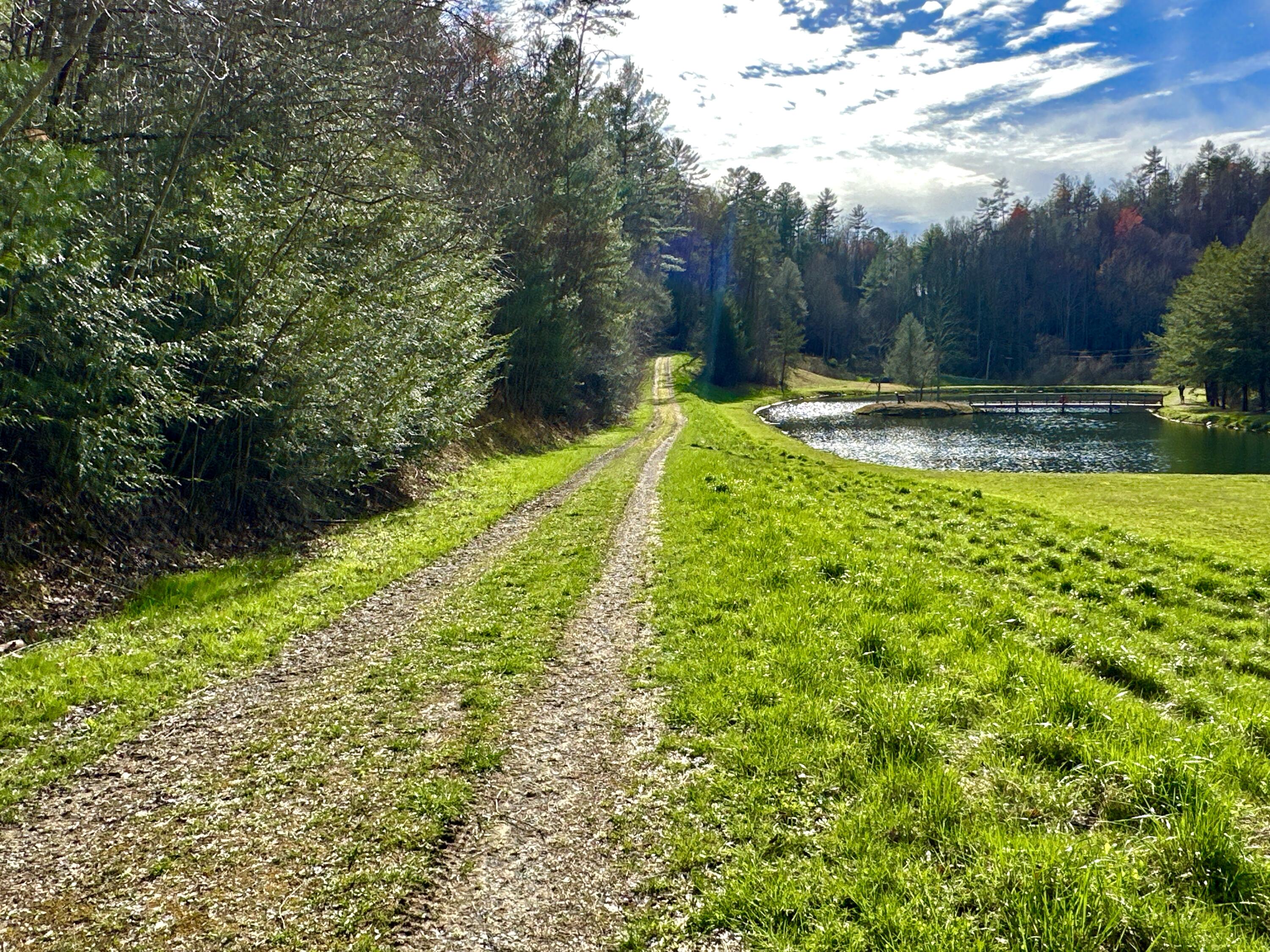 Lot 28 Clydesdale Way, Del Rio, Tennessee image 9