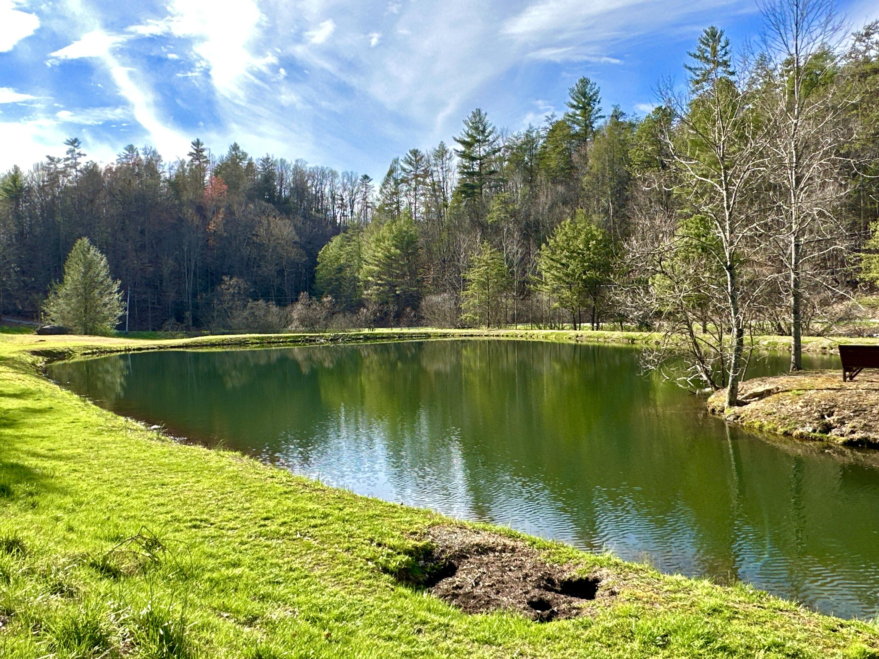 Lot 28 Clydesdale Way, Del Rio, Tennessee image 7