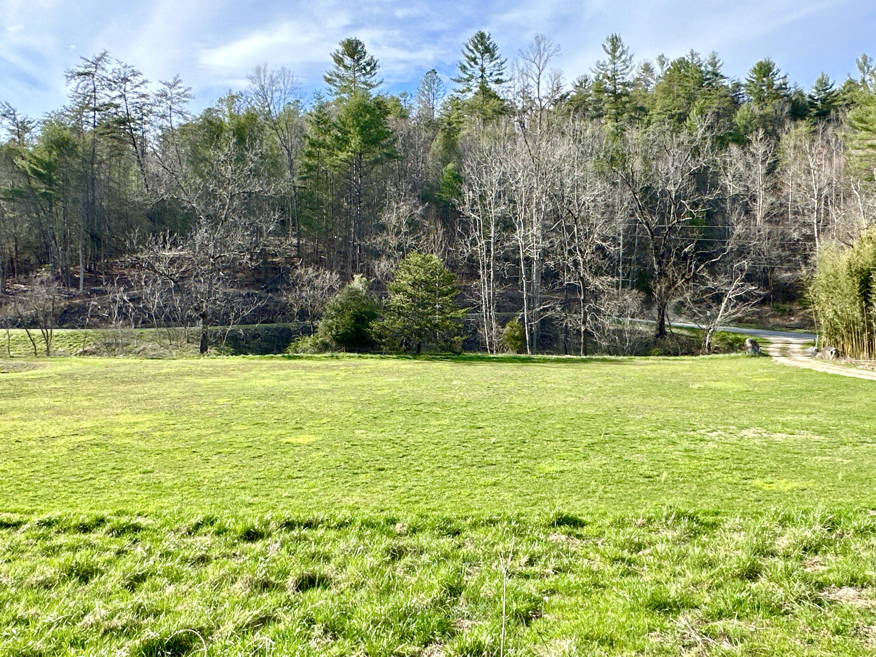Lot 28 Clydesdale Way, Del Rio, Tennessee image 10