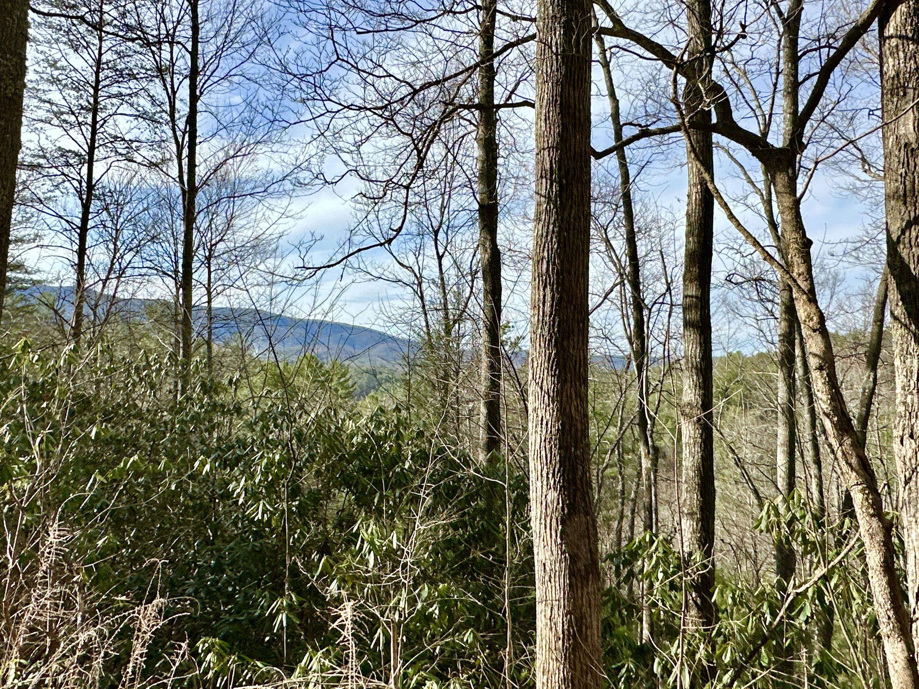 Lot 28 Clydesdale Way, Del Rio, Tennessee image 2