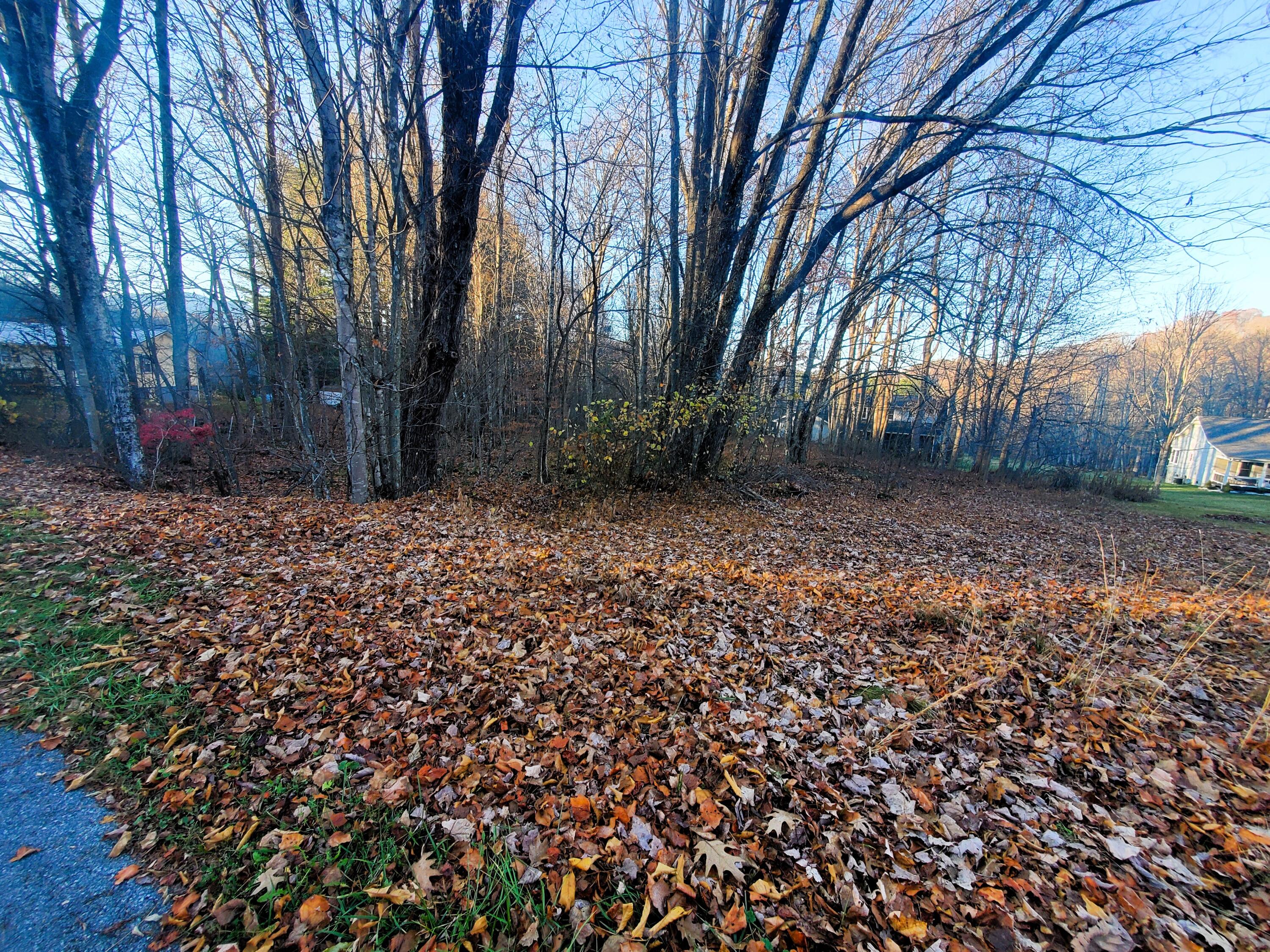 000 Toms Creek Drive, Roan Mountain, Tennessee image 6