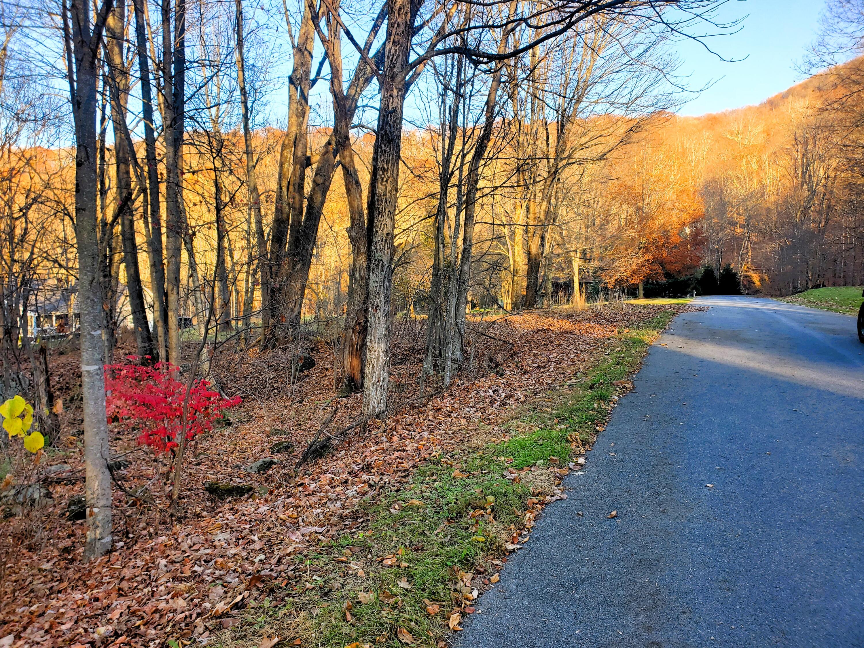 000 Toms Creek Drive, Roan Mountain, Tennessee image 1