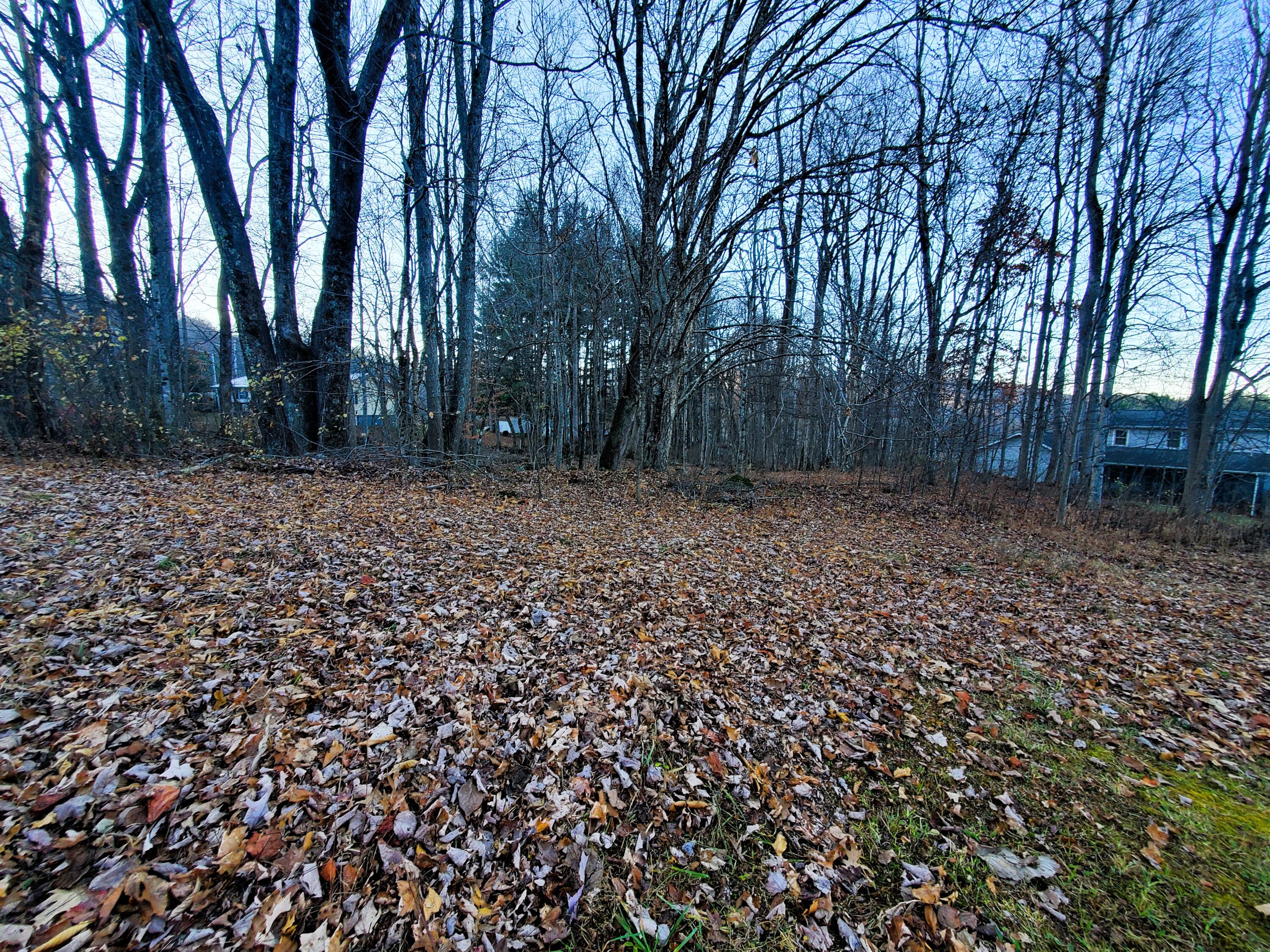 000 Toms Creek Drive, Roan Mountain, Tennessee image 11
