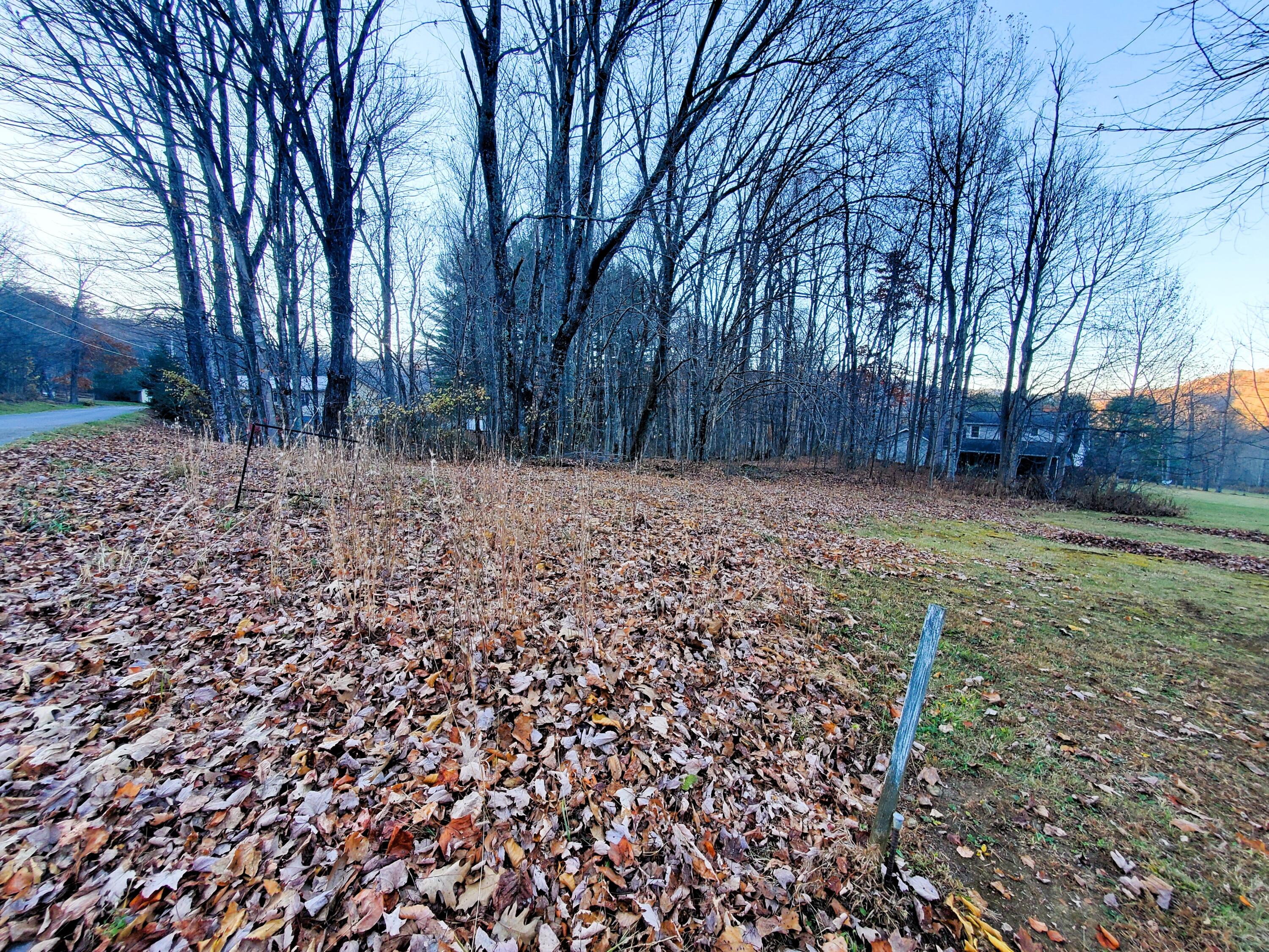 000 Toms Creek Drive, Roan Mountain, Tennessee image 10