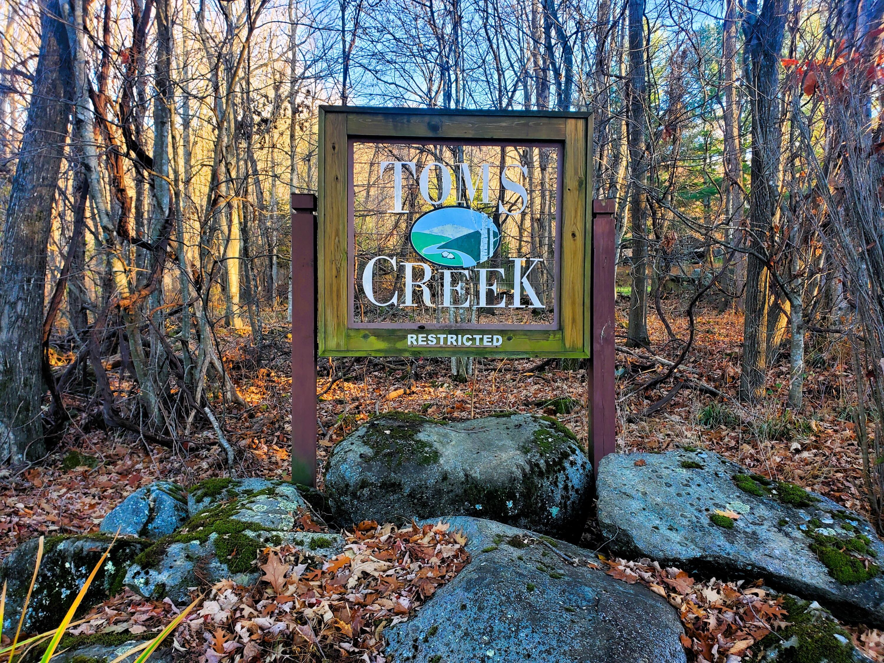 000 Toms Creek Drive, Roan Mountain, Tennessee image 2