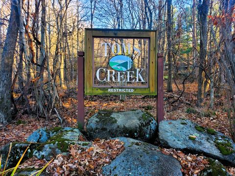 Vacant Land For Sale - 000 Toms Creek Drive<br/> Roan Mountain, TN 37687
