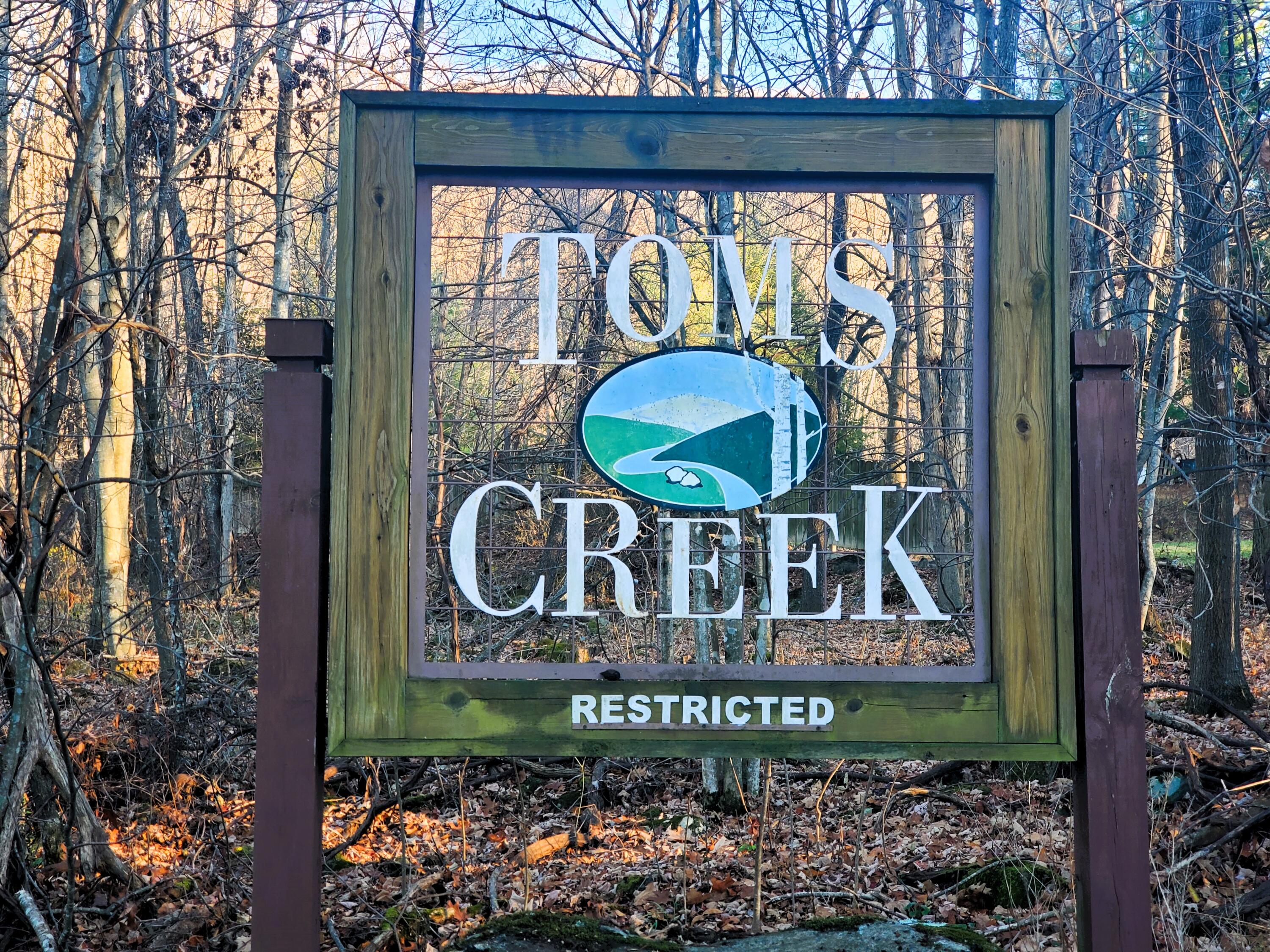 000 Toms Creek Drive, Roan Mountain, Tennessee image 5