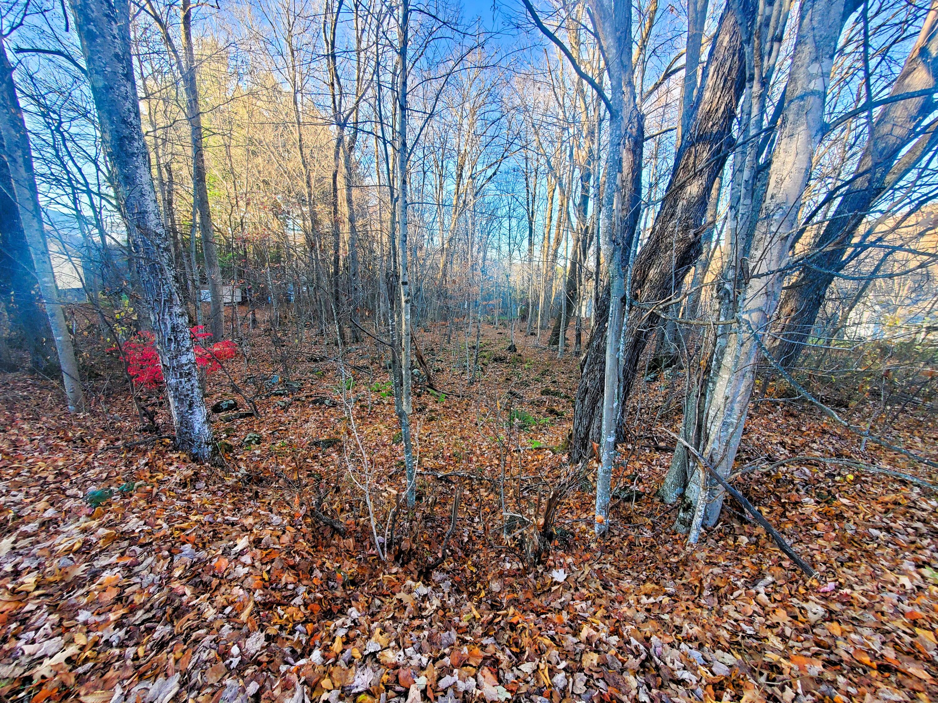 000 Toms Creek Drive, Roan Mountain, Tennessee image 12