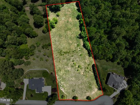 Photo of 152 Allison Timbers Road, Piney Flats, TN 37686 (MLS # 9995562)