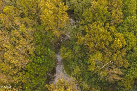 Vacant Land For Sale - 1444 Beech Creek Road<br/> Rogersville, TN 37857