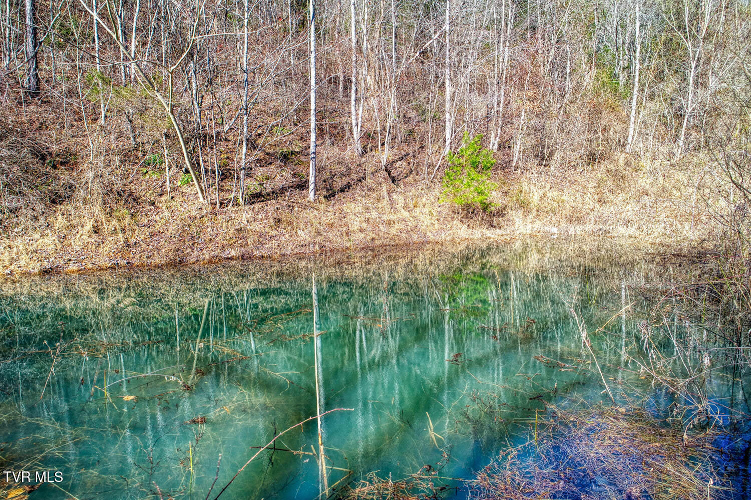 582 Jimmie Brooks Road, Sneedville, Tennessee image 10