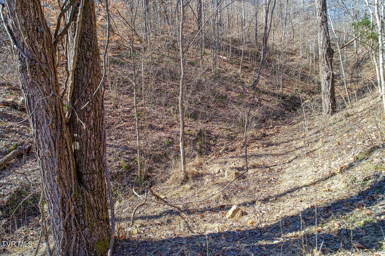 582 Jimmie Brooks Road, Sneedville, Tennessee image 3