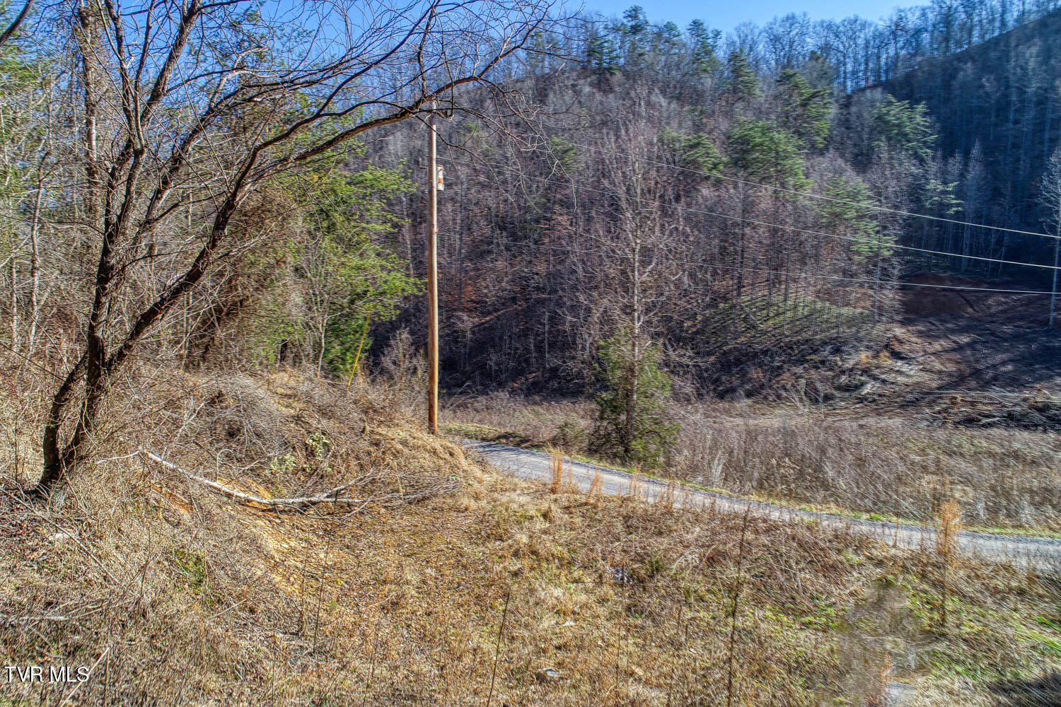 582 Jimmie Brooks Road, Sneedville, Tennessee image 4