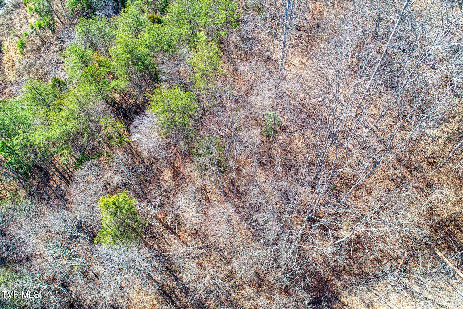 582 Jimmie Brooks Road, Sneedville, Tennessee image 20