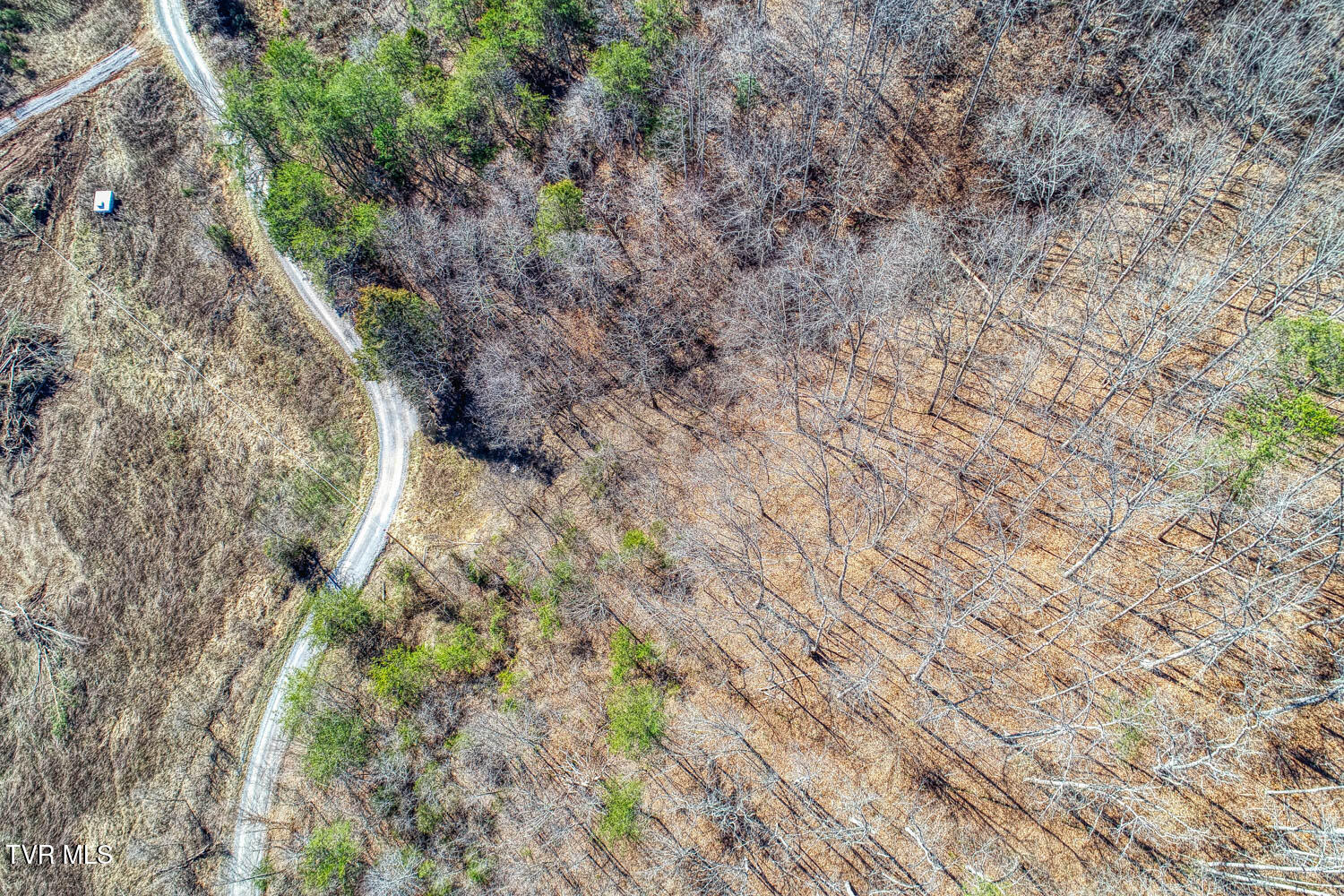 582 Jimmie Brooks Road, Sneedville, Tennessee image 18