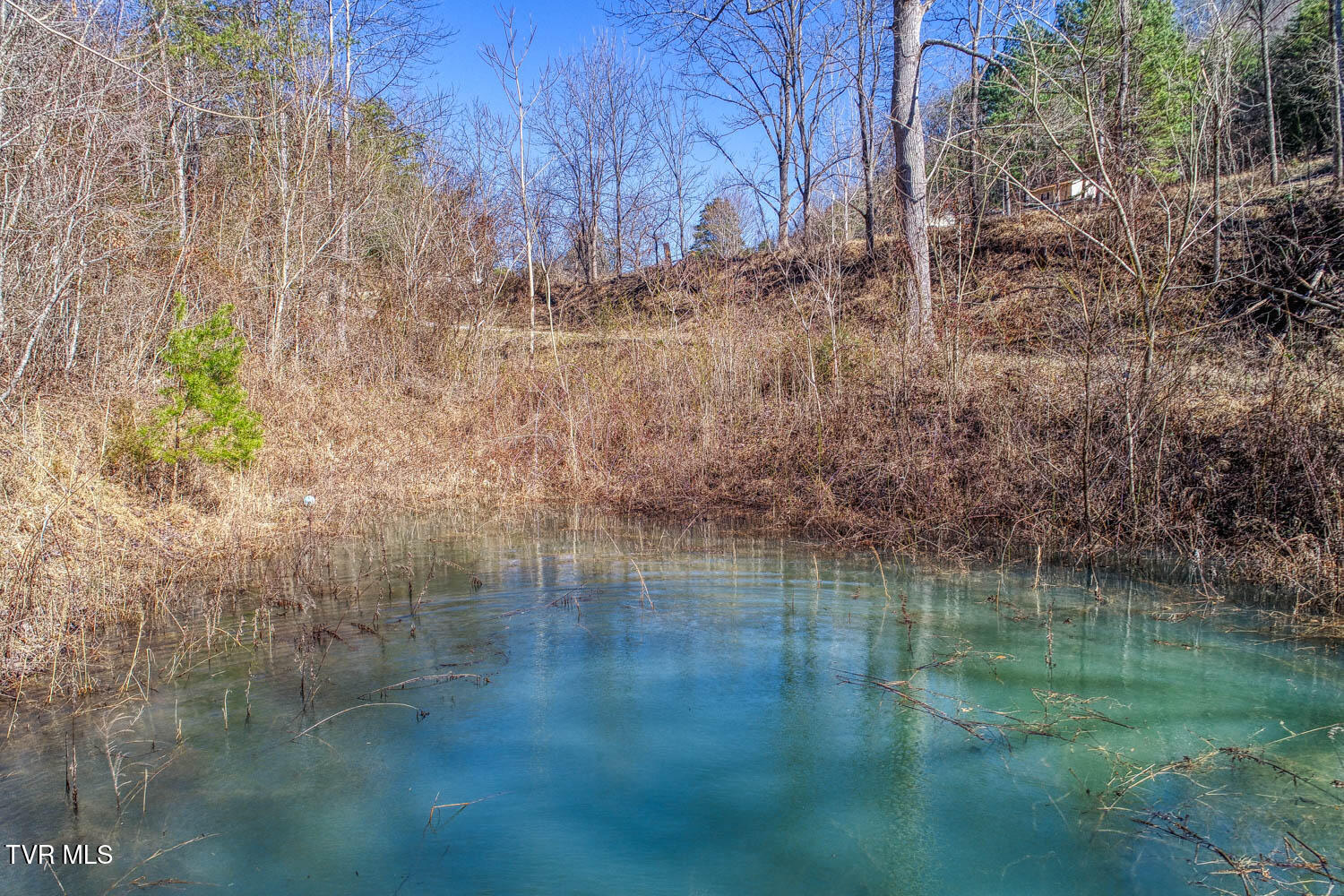 582 Jimmie Brooks Road, Sneedville, Tennessee image 12