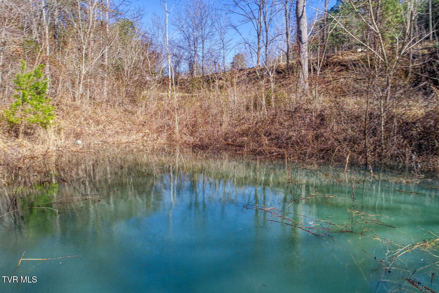 582 Jimmie Brooks Road, Sneedville, Tennessee image 11