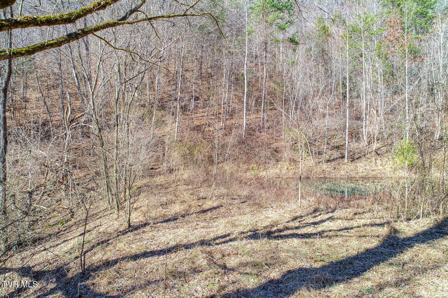 582 Jimmie Brooks Road, Sneedville, Tennessee image 9
