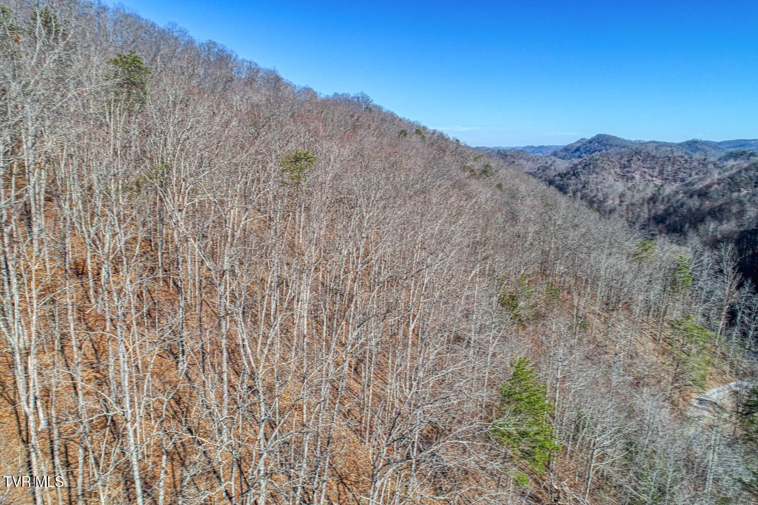 582 Jimmie Brooks Road, Sneedville, Tennessee image 22