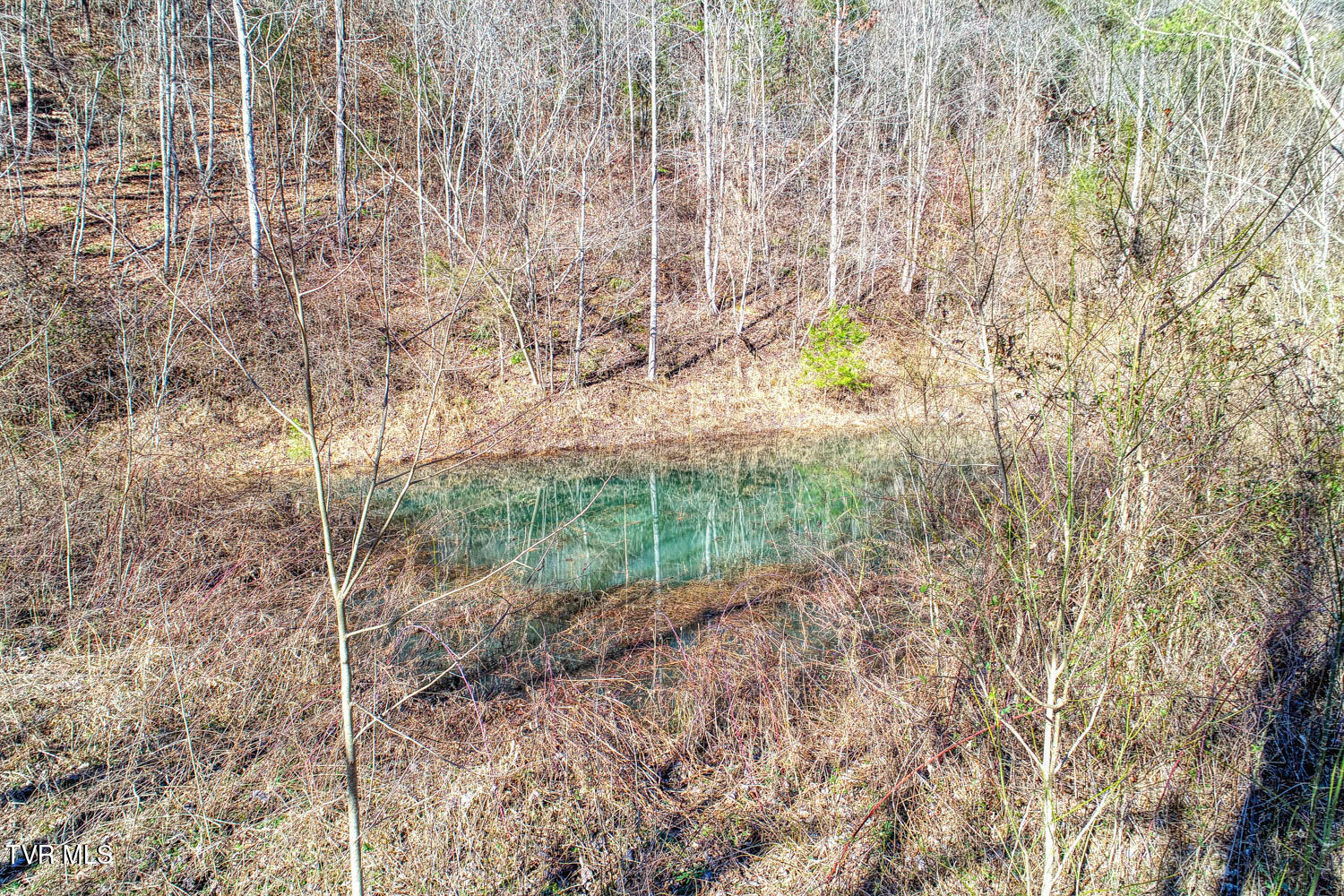 582 Jimmie Brooks Road, Sneedville, Tennessee image 1