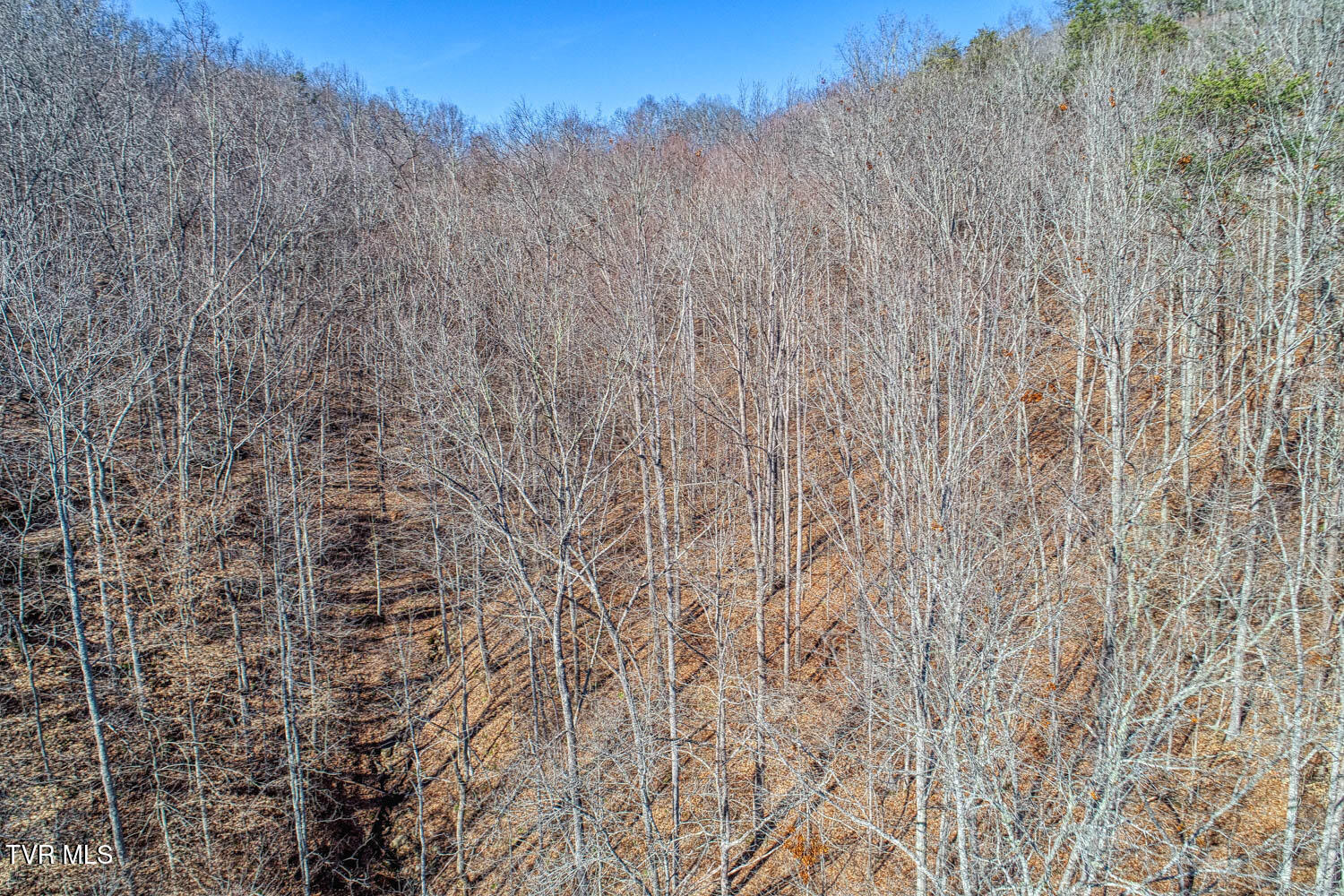 582 Jimmie Brooks Road, Sneedville, Tennessee image 21