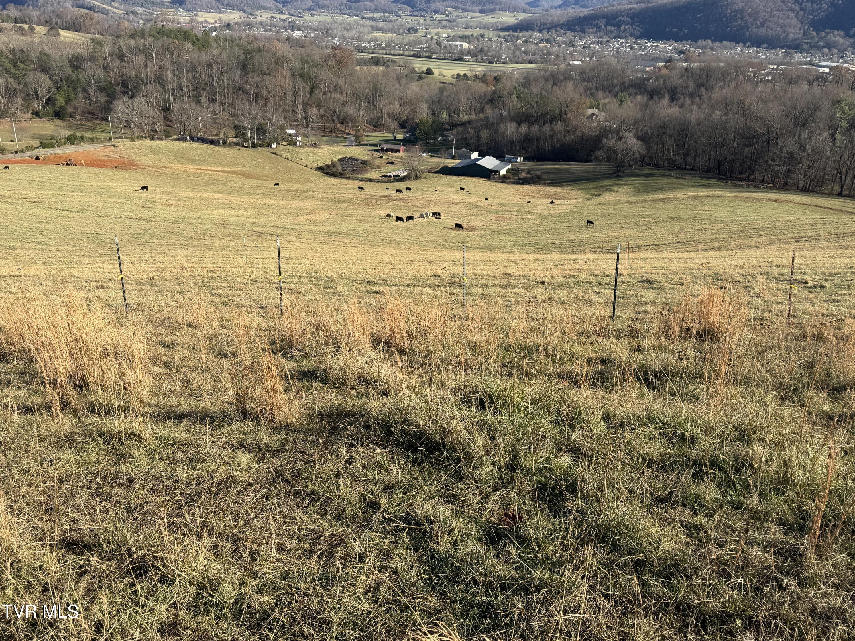 133 Ridgeview Drive, Elizabethton, Tennessee image 49