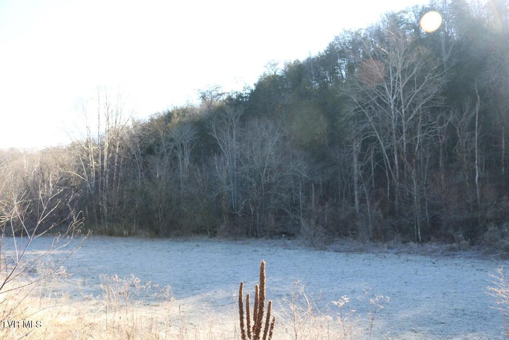 Photo of 530 War Creek Road, Eidson, TN 37731 (MLS # 9991152)