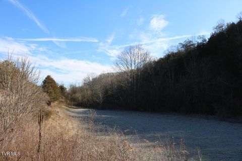 Vacant Land For Sale - 530 War Creek Road<br/> Eidson, TN 37731