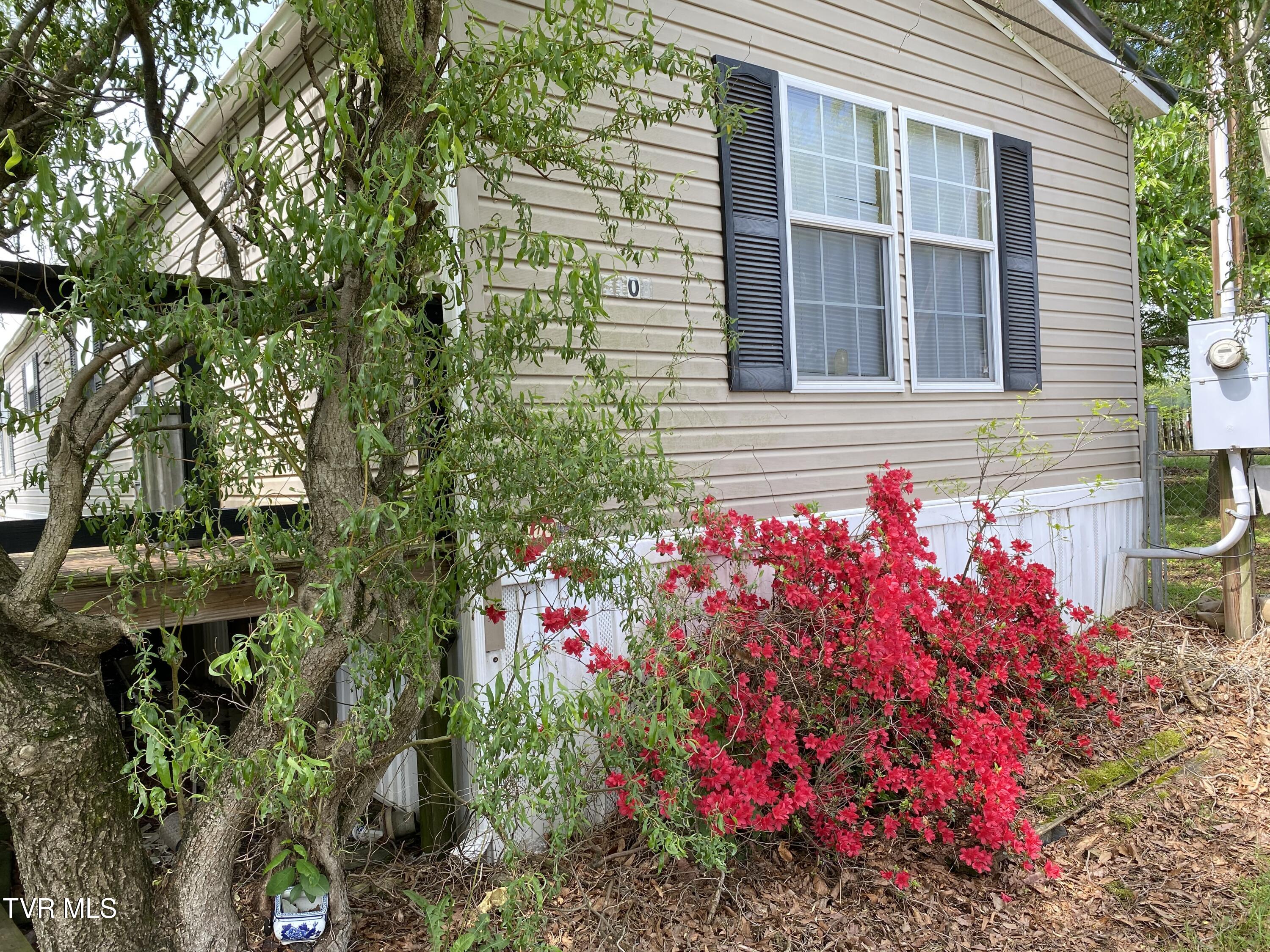 2420 Bailey Bridge Road, Chuckey, Tennessee image 6