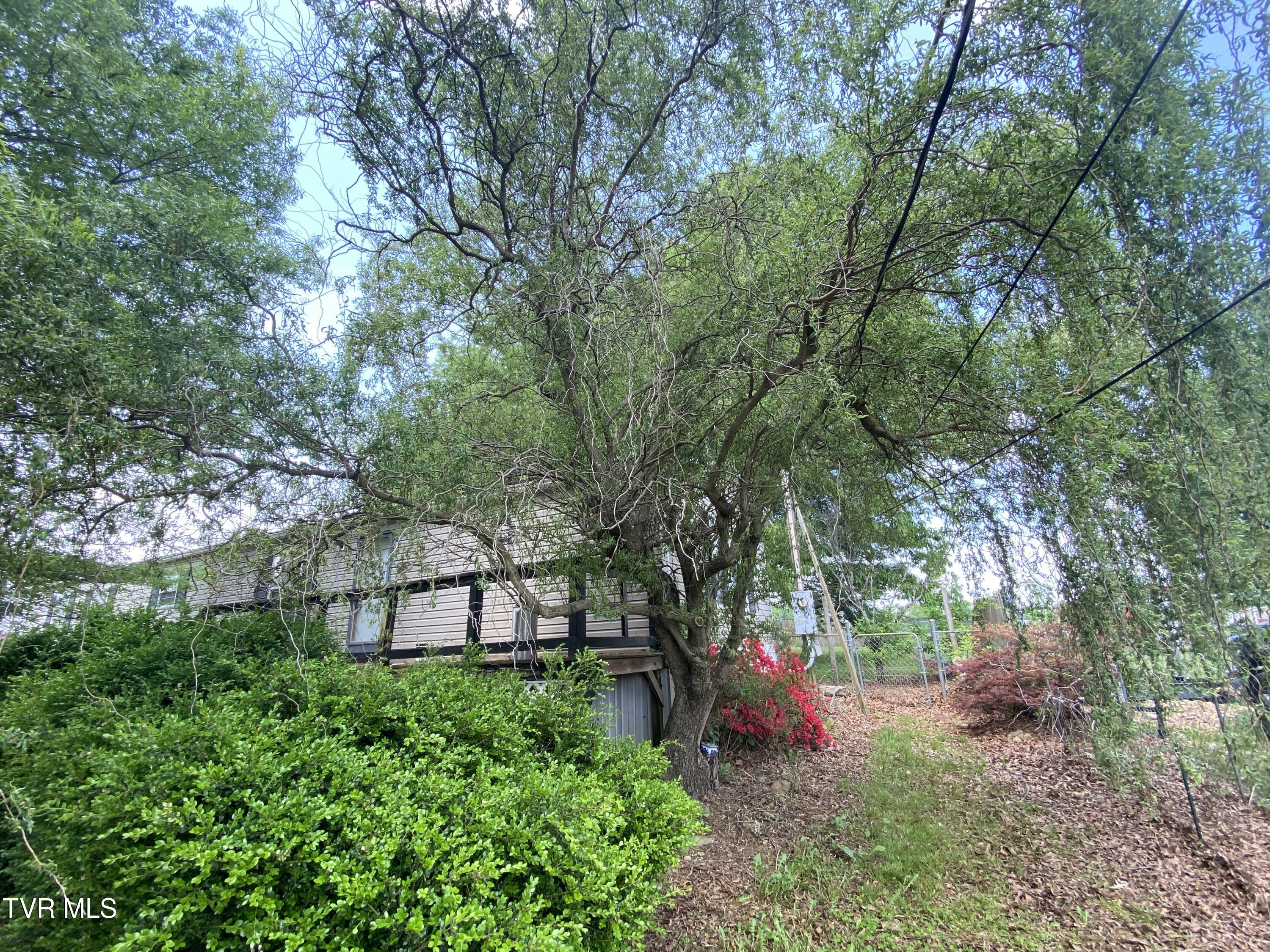2420 Bailey Bridge Road, Chuckey, Tennessee image 4