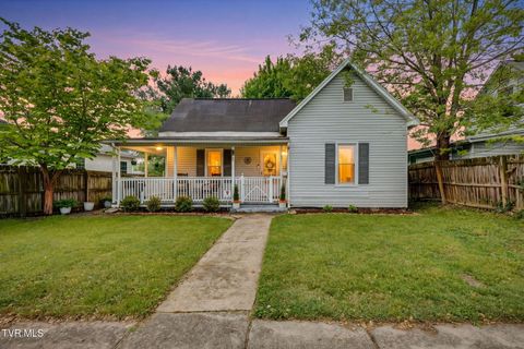Photo of 809 Boone Street, Johnson City, TN 37604 (MLS # 9994704)