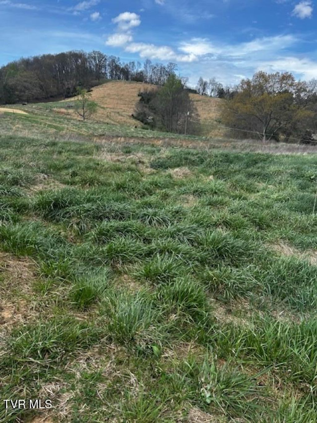 Photo of 694 Egypt Road, Bluff City, TN 37618 (MLS # 9993539)