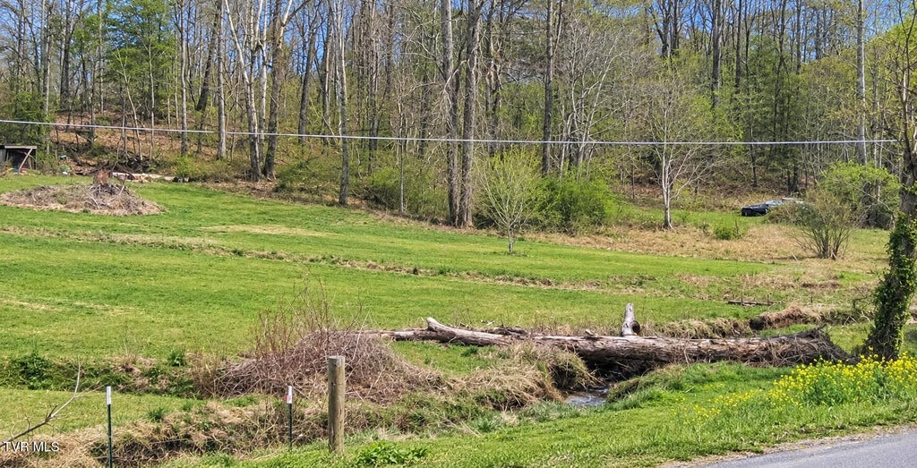 Photo of Tbd Simerly Creek Road, Unicoi, TN 37692 (MLS # 10000989)
