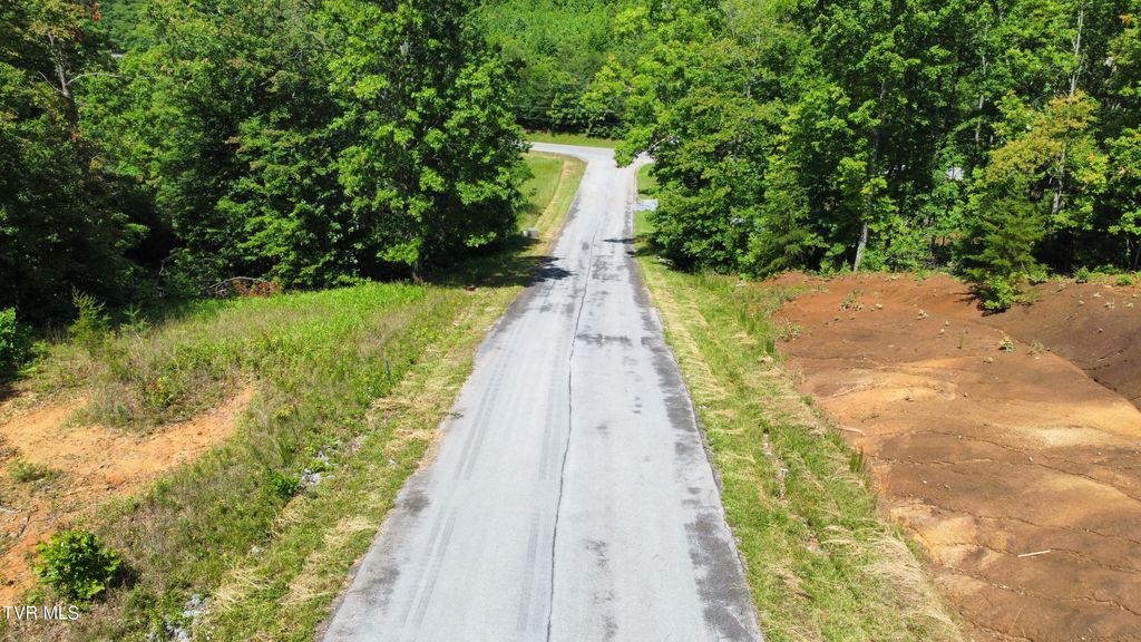 Photo of 48 Homestead Drive, Unicoi, TN 37692 (MLS # 9990781)