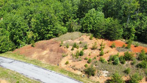 Vacant Land For Sale - 48 Homestead Drive<br/> Unicoi, TN 37692