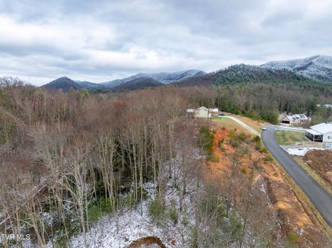 Vacant Land For Sale - 48 Homestead Drive<br/> Unicoi County, Unicoi, TN 37692