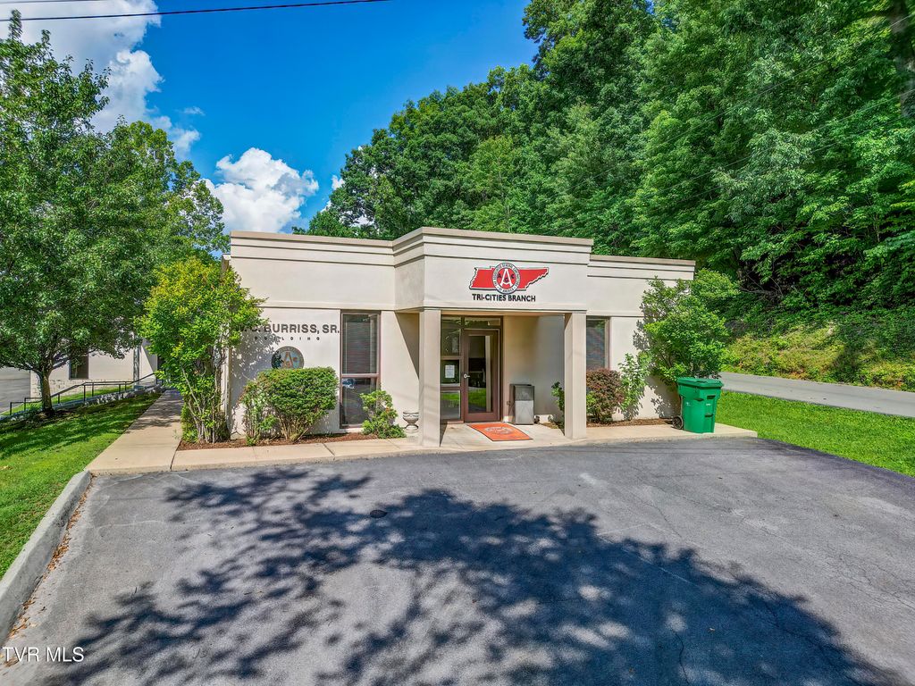 Photo of 249 Neal Drive, Blountville, TN 37617 (MLS # 9995442)