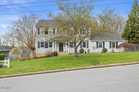 Homes For Sale - 8 Parwood Court<br/> Washington County, Johnson City, TN 37601