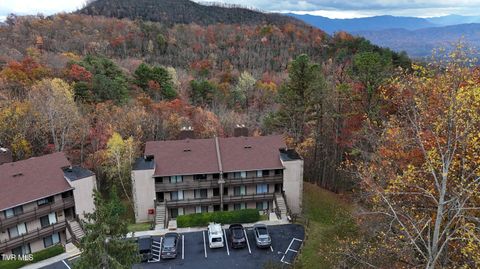 Condo For Sale - 1081 Cove Road #APT 1033<br/> Sevier County, Sevierville, TN 37876