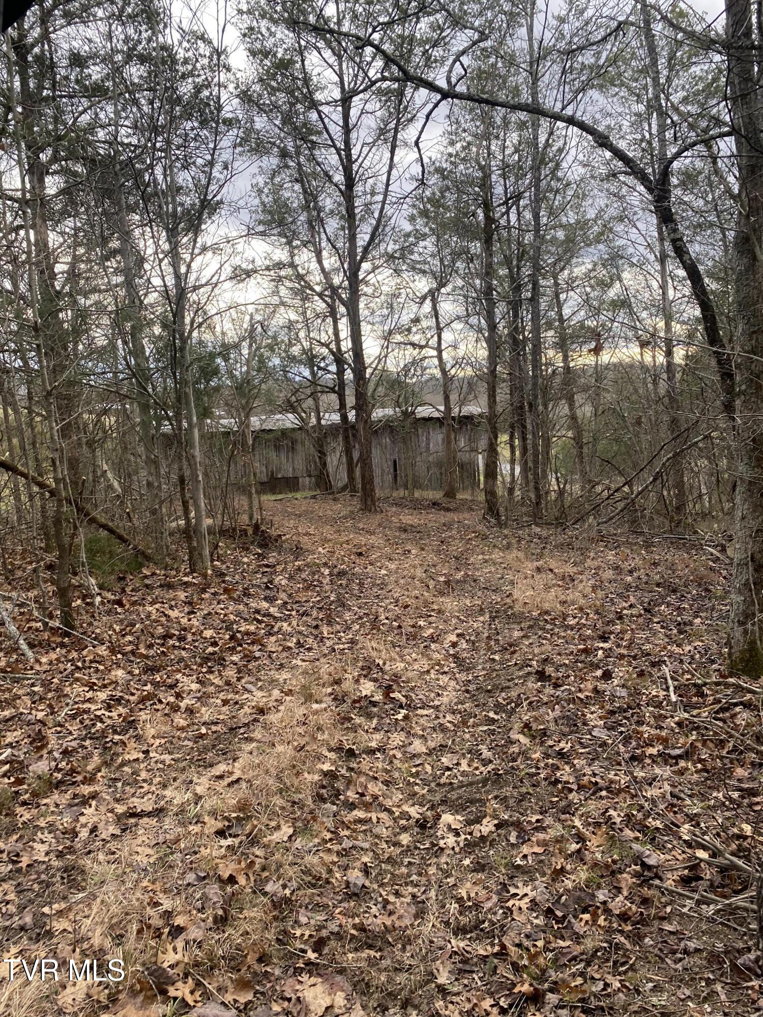 415 Bibles Chapel Road, Midway, Tennessee image 14