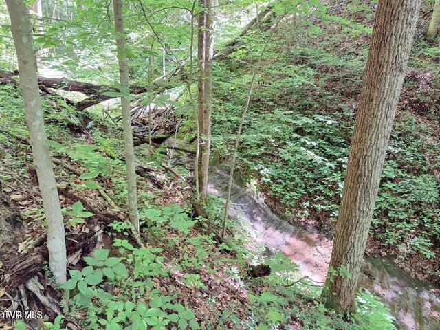 Tbd Rocky Hollow Road Road, Rogersville, Tennessee image 7