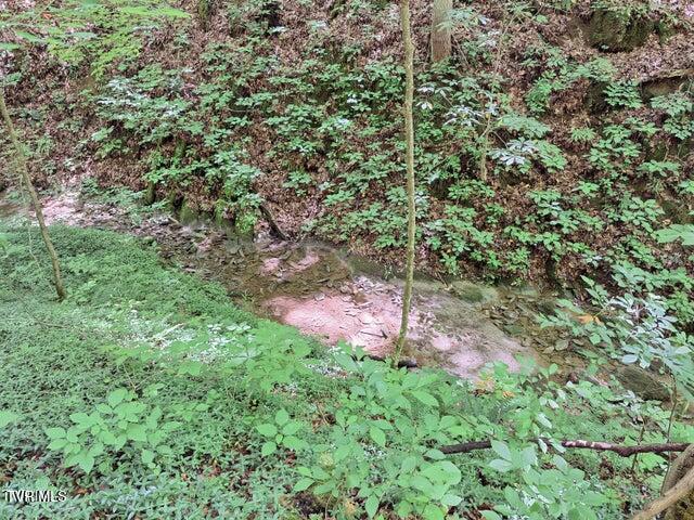 Tbd Rocky Hollow Road Road, Rogersville, Tennessee image 6