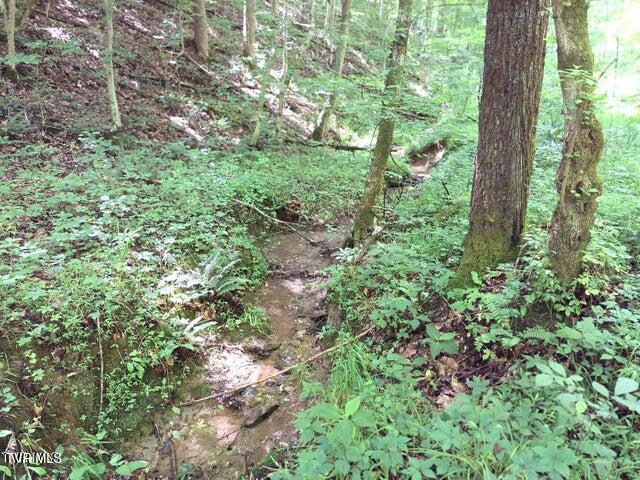 Tbd Rocky Hollow Road Road, Rogersville, Tennessee image 5