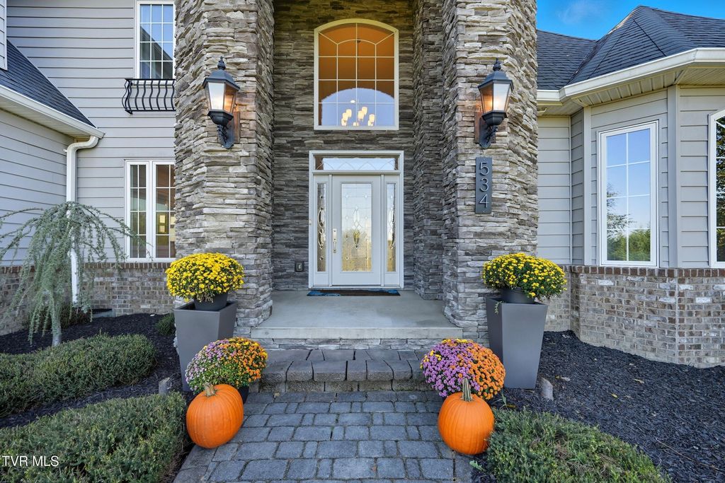 Photo of 534 Buckingham Road, Gray, TN 37615 (MLS # 9991228)