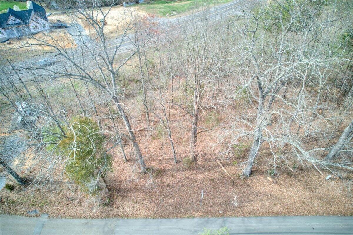Tbd Lot 40 Central Avenue, Church Hill, Tennessee image 8
