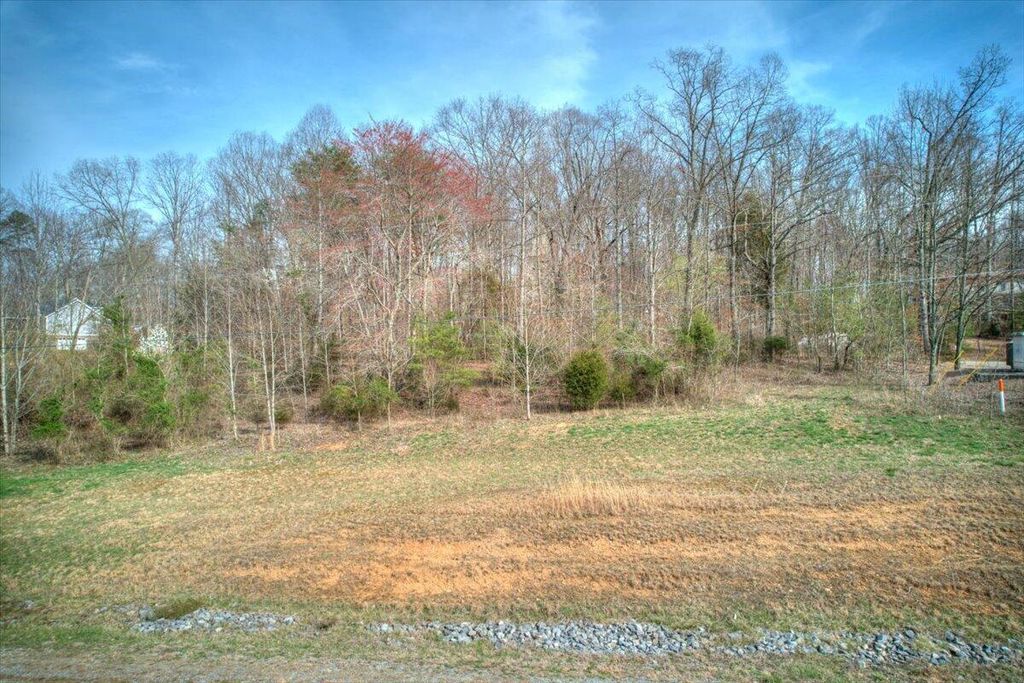 Photo of 40 Central Avenue, Church Hill, TN 37642 (MLS # 9949362)